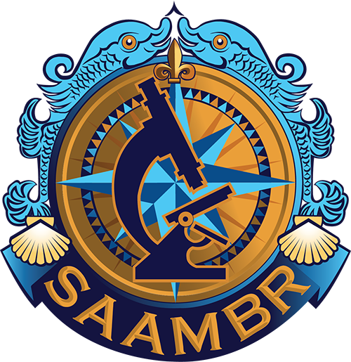SAAMBR