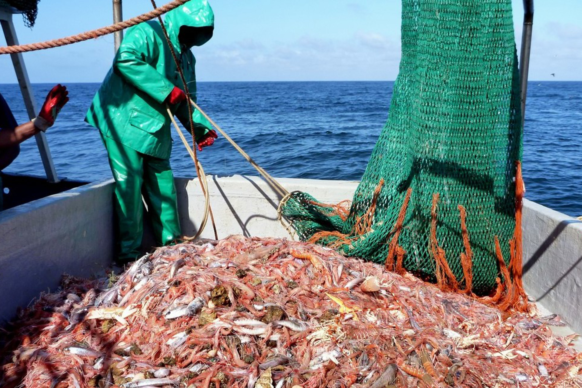 ORI-Demersal-Fisheries-Ecology-SAAMBR