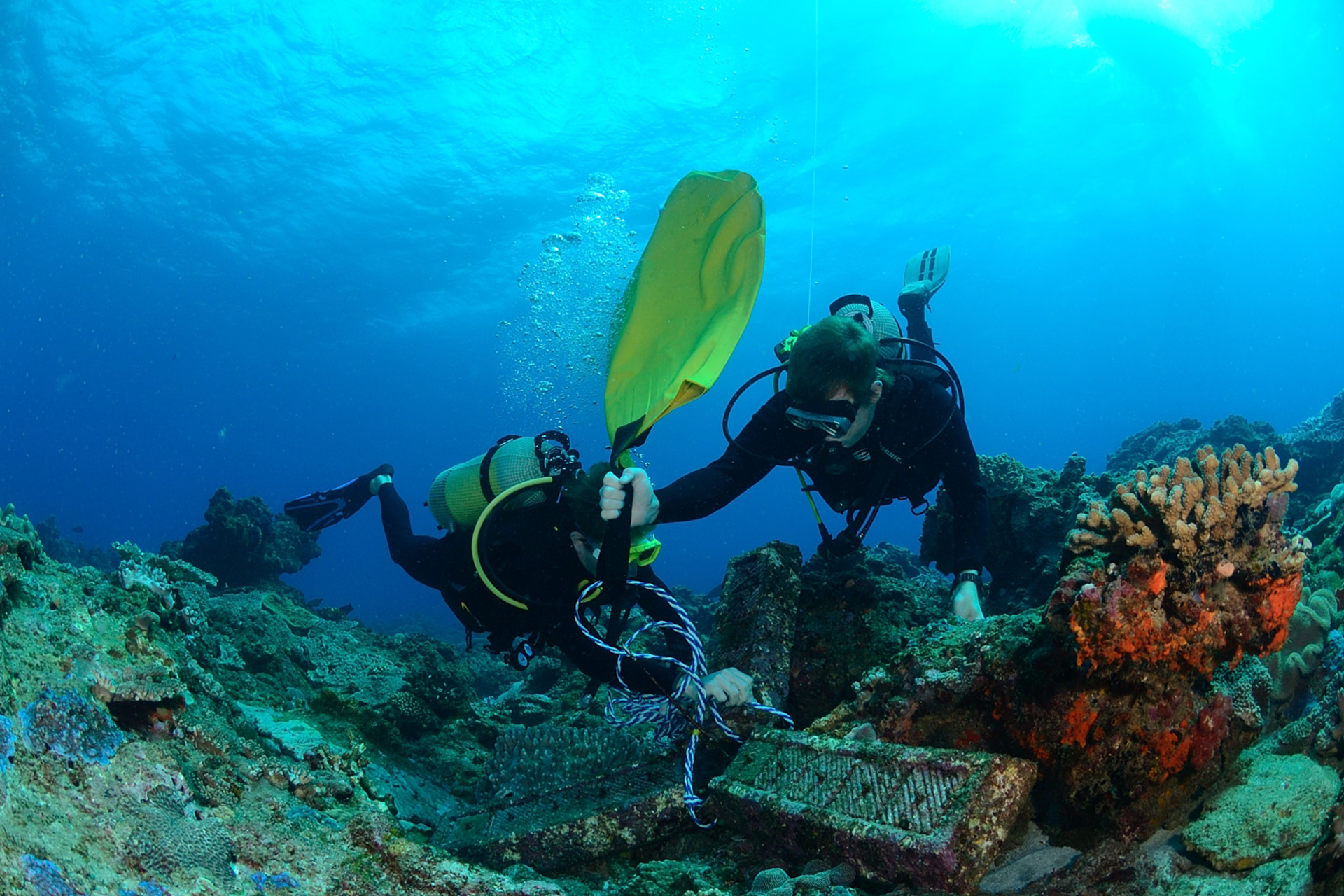 ORI-coral-reef-research-SAAMBR-portfolio