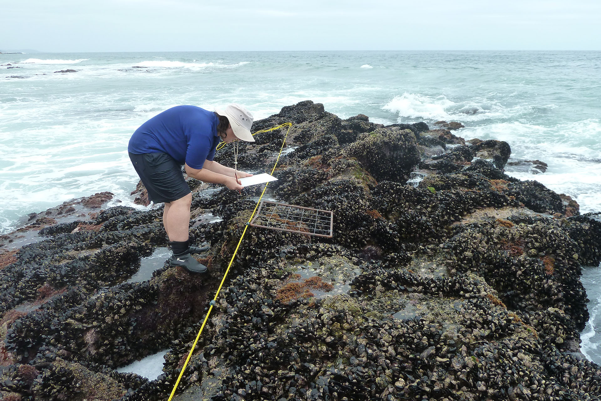 ORI-regional-fisheries-portfolio-SAAMBR